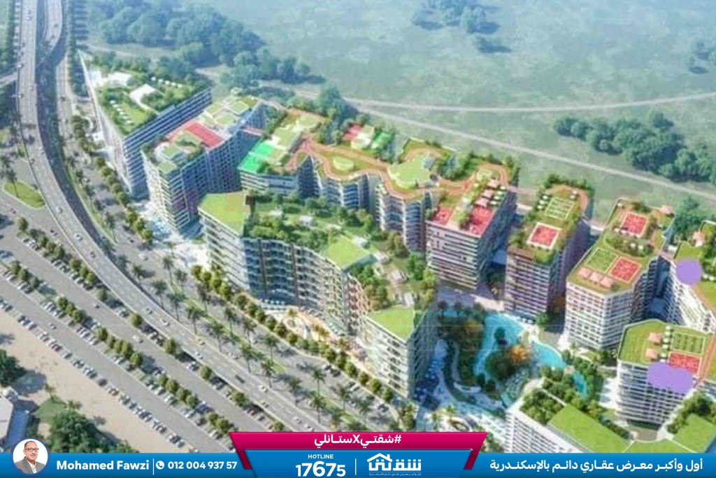 457193118_936641965164373_7697053552713594473_n