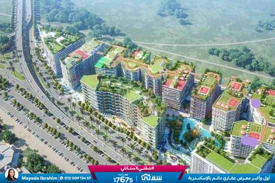 457193118_936641965164373_7697053552713594473_n