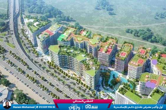 457193118_936641965164373_7697053552713594473_n