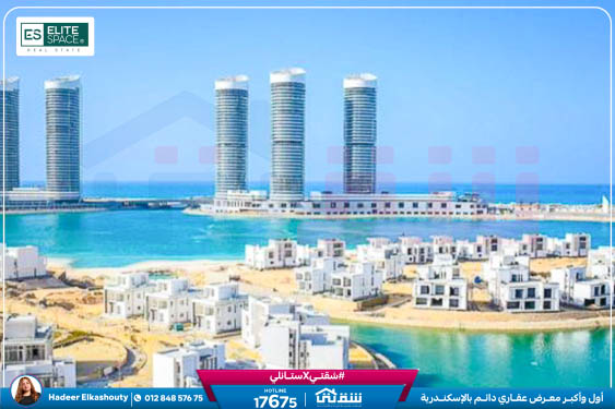 IMG-20250706-WA0008-2