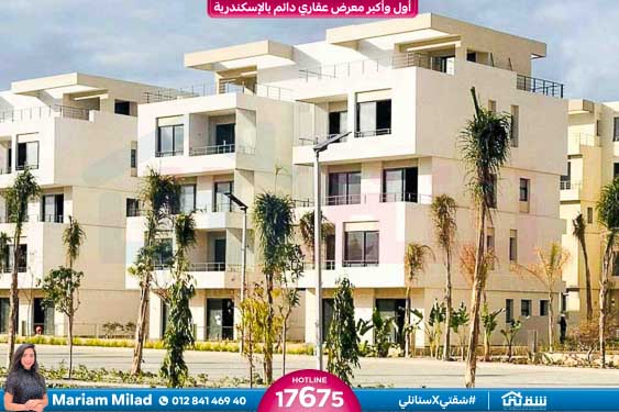 WhatsApp Image 2024-12-06 at 3.47.21 AM