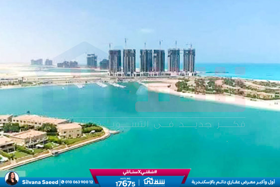 WhatsApp Image 2025-02-15 at 6.00.07 PM (1)