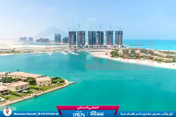 WhatsApp Image 2025-02-15 at 6.00.07 PM (1)