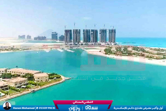 WhatsApp Image 2025-02-15 at 6.00.07 PM (1)