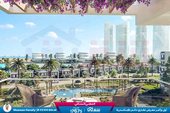 WhatsApp Image 2025-02-15 at 6.00.08 PM (1)