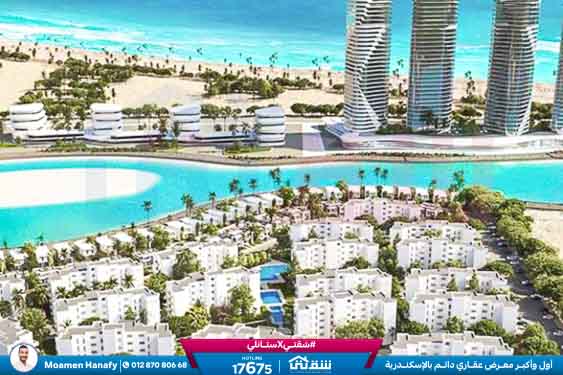 WhatsApp Image 2025-02-15 at 6.00.08 PM (2)