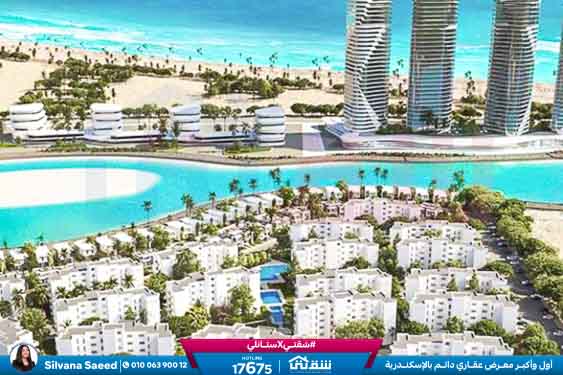 WhatsApp Image 2025-02-15 at 6.00.08 PM (2)