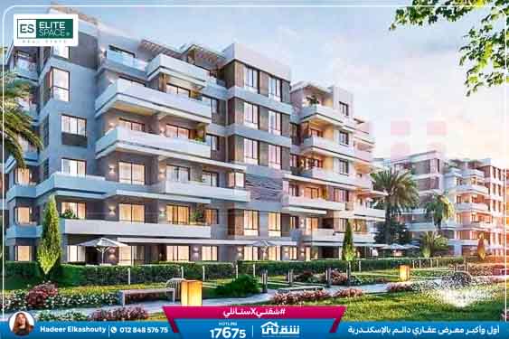 WhatsApp Image 2025-02-15 at 6.00.08 PM