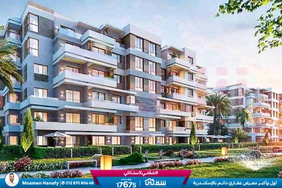 WhatsApp Image 2025-02-15 at 6.00.08 PM