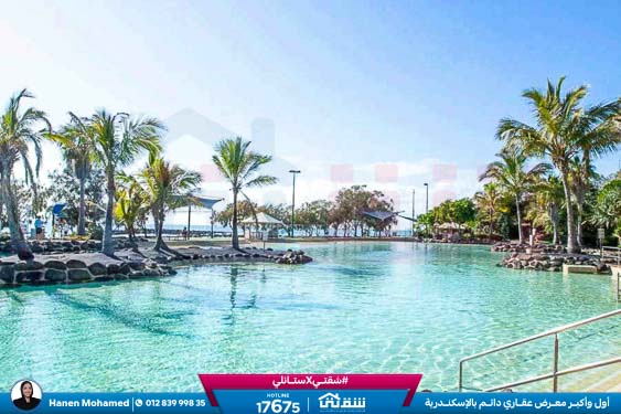 WhatsApp Image 2025-02-15 at 6.00.09 PM