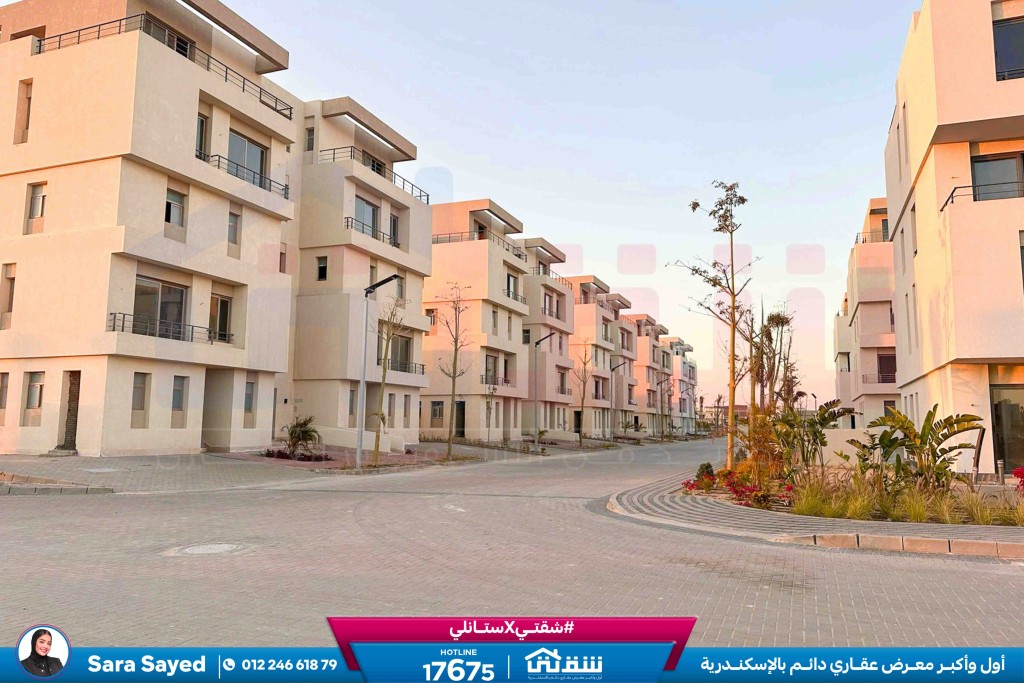 WhatsApp Image 2025-03-10 at 2.34.15 PM