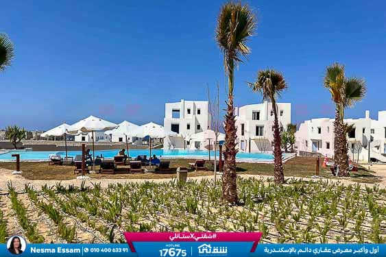 WhatsApp Image 2025-05-03 at 5.08.11 PM (4)