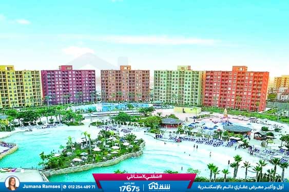 WhatsApp Image 2025-05-06 at 12.31.19 PM