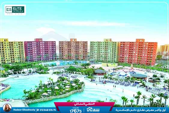 WhatsApp Image 2025-05-06 at 12.31.19 PM