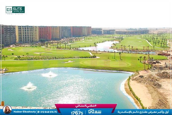 WhatsApp Image 2025-05-06 at 12.31.20 PM (1)