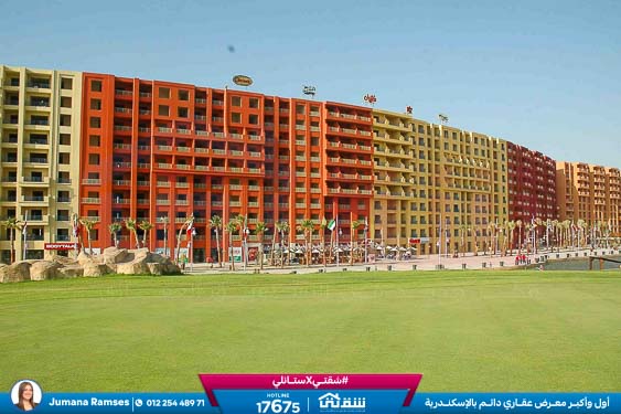 WhatsApp Image 2025-05-06 at 12.31.21 PM