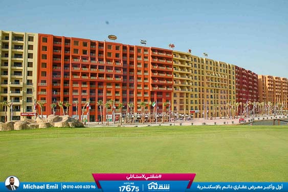 WhatsApp Image 2025-05-06 at 12.31.21 PM