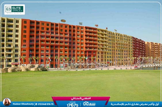 WhatsApp Image 2025-05-06 at 12.31.21 PM