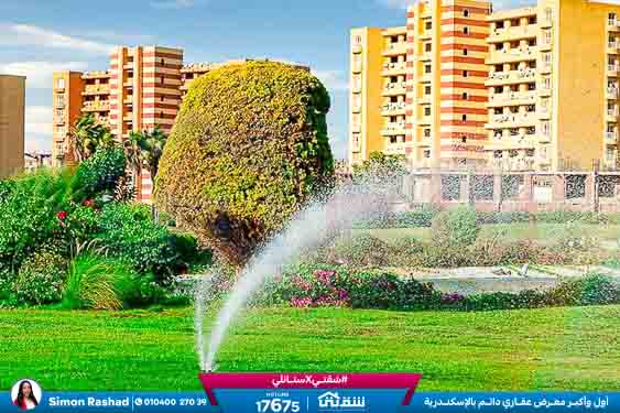 WhatsApp Image 2025-05-06 at 12.31.22 PM (1)