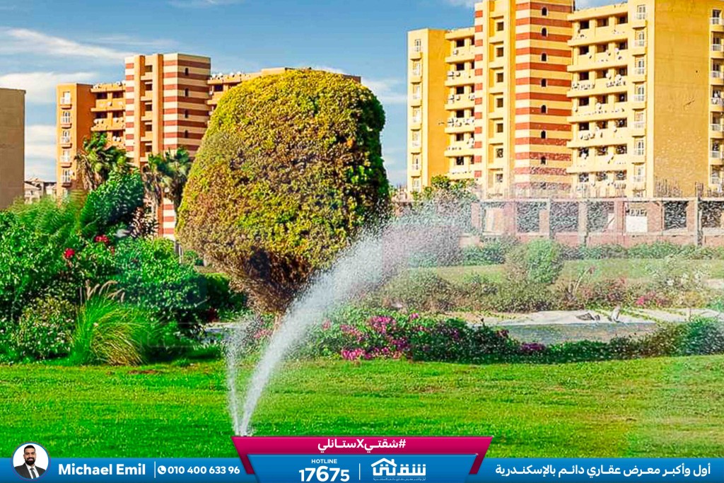 WhatsApp Image 2025-05-06 at 12.31.22 PM (1)