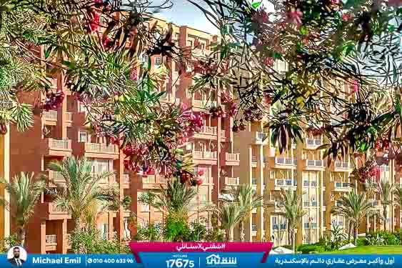 WhatsApp Image 2025-05-06 at 12.31.23 PM (1)