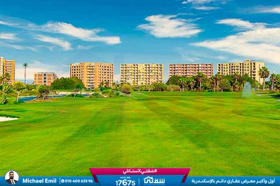 WhatsApp Image 2025-05-06 at 12.31.24 PM (1)