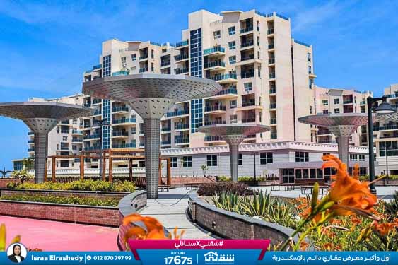 WhatsApp Image 2025-05-29 at 5.06.41 PM (2)