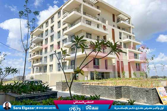 WhatsApp Image 2025-08-16 at 5.12.22 PM