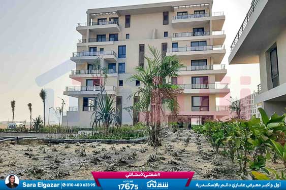 WhatsApp Image 2025-08-16 at 5.12.25 PM