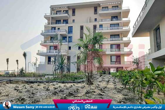 WhatsApp Image 2025-08-16 at 5.12.25 PM