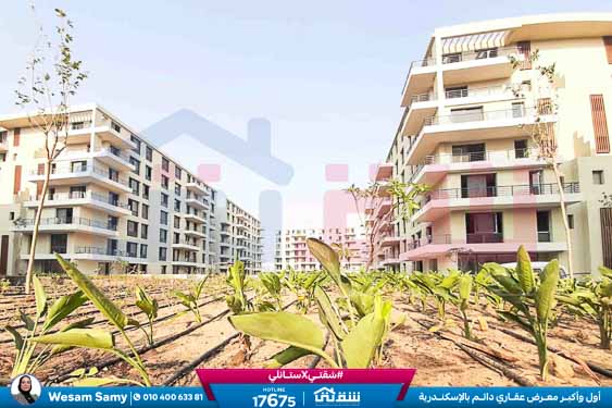 WhatsApp Image 2025-08-16 at 5.13.48 PM (1)