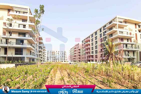 WhatsApp Image 2025-08-16 at 5.13.48 PM