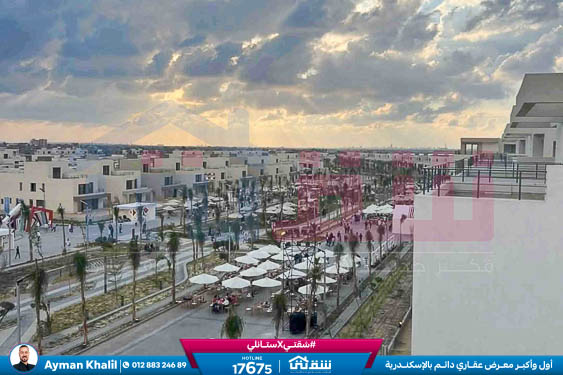 WhatsApp Image 2025-08-20 at 2.51.33 PM