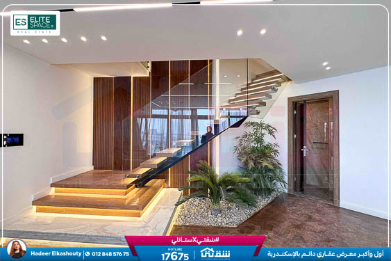 WhatsApp Image 2025-09-07 at 1.47.50 PM