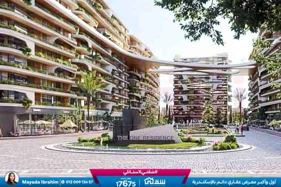 WhatsApp Image 2025-09-07 at 5.50.21 PM