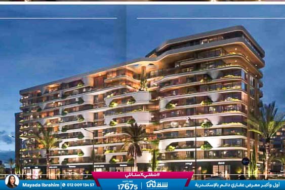 WhatsApp Image 2025-09-07 at 5.50.22 PM (1)