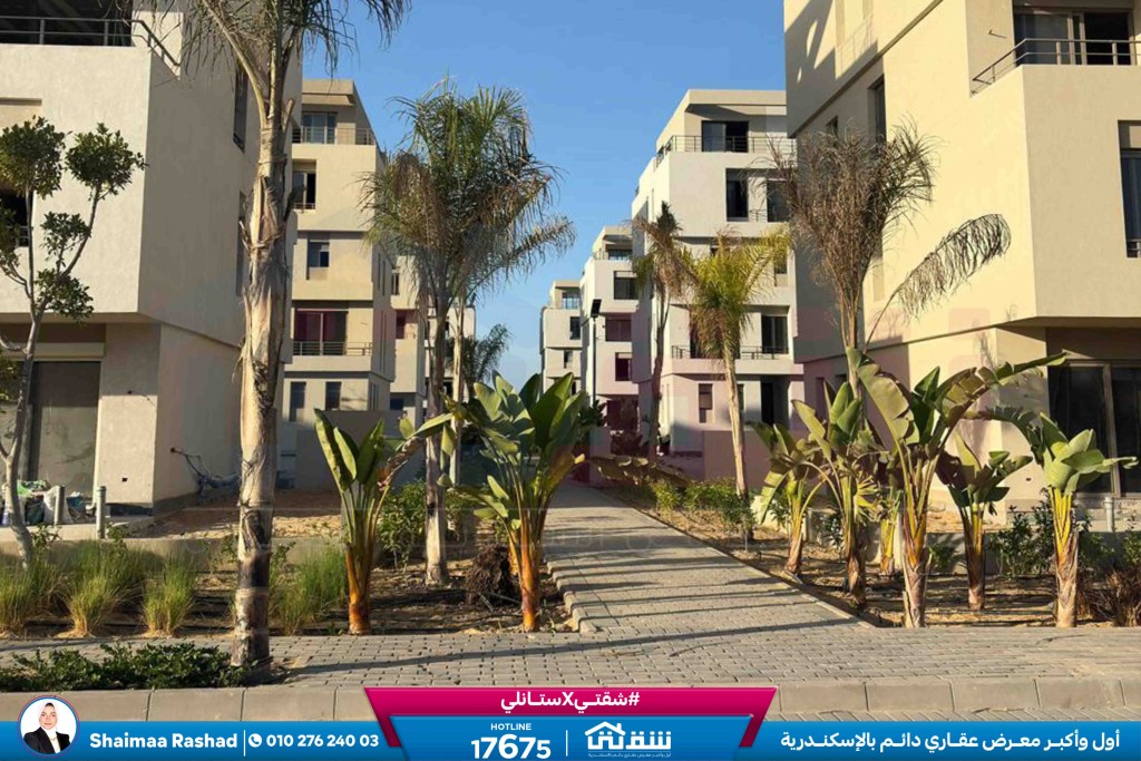 WhatsApp Image 2025-10-28 at 4.53.40 PM