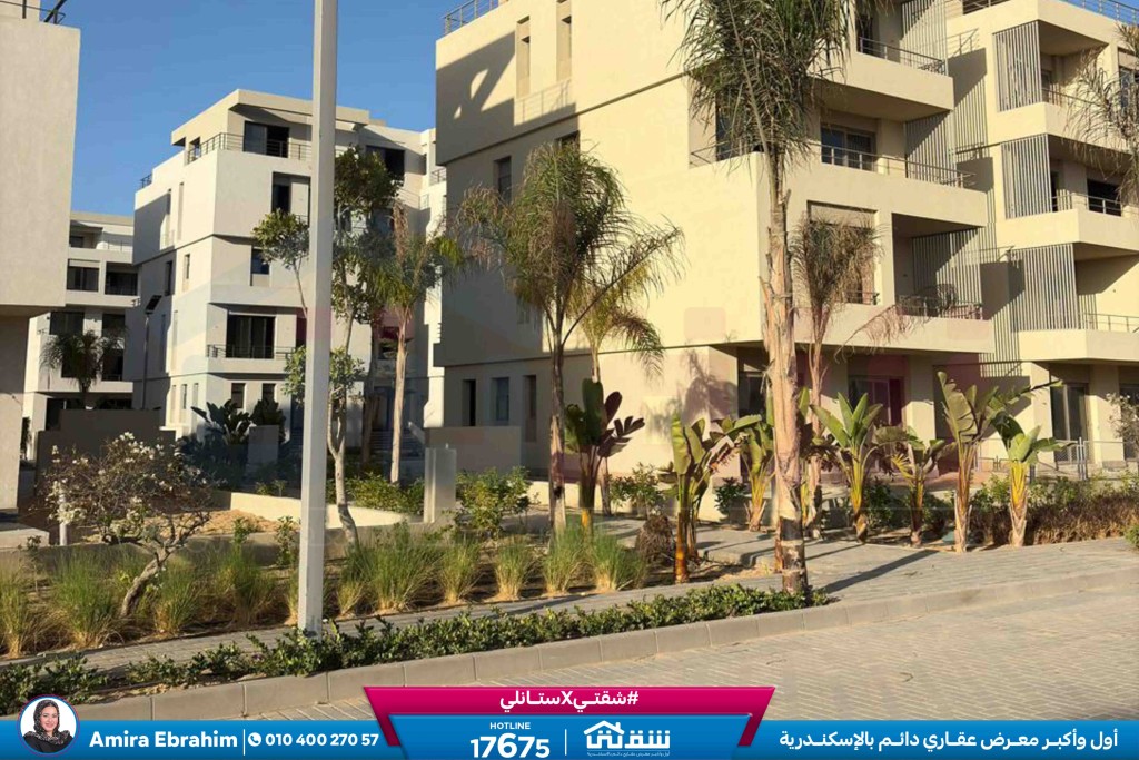 WhatsApp Image 2025-10-28 at 4.53.41 PM