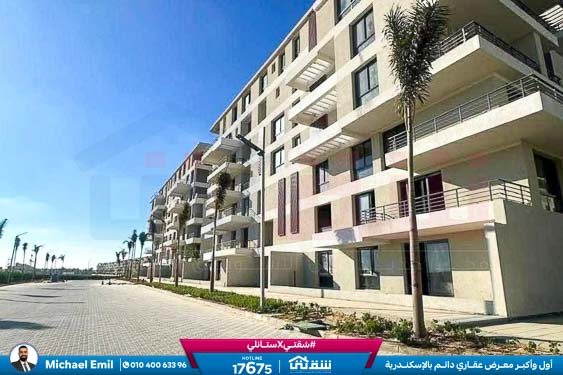 WhatsApp Image 2025-11-10 at 1.00.49 PM