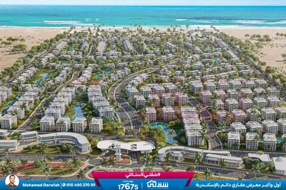 WhatsApp Image 2025-11-10 at 11.15.57 AM (2)