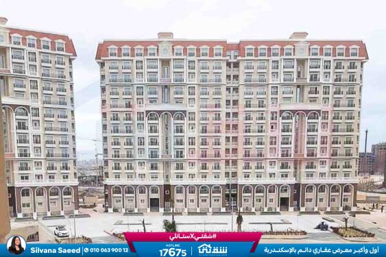 WhatsApp Image 2025-11-18 at 15.48.42 (3)