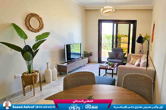 WhatsApp Image 2025-12-24 at 16.14.42 (1)