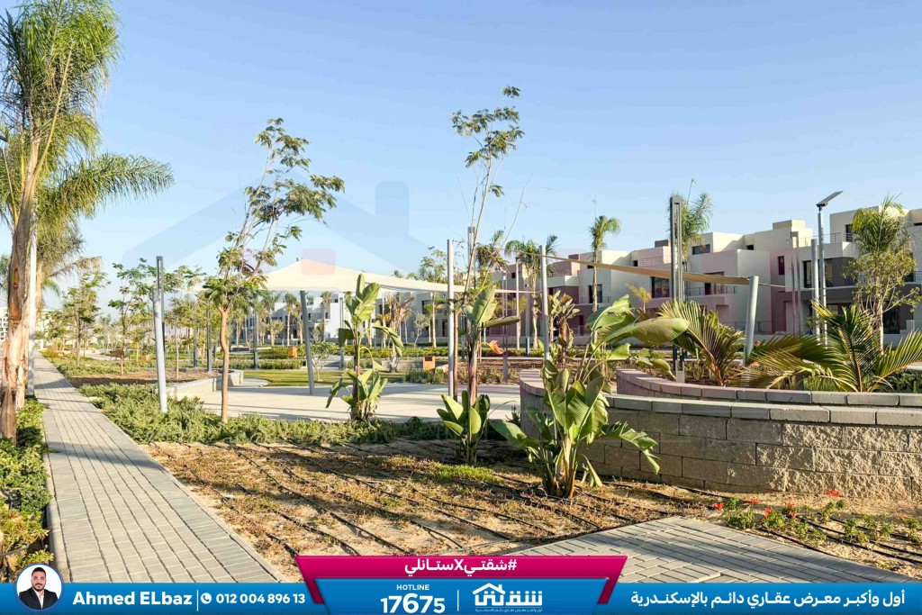 WhatsApp Image 2025-12-25 at 16.44.24