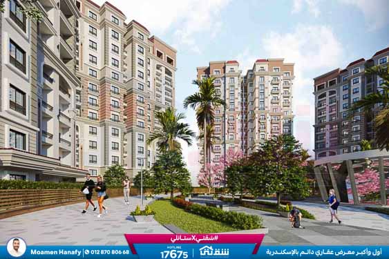 WhatsApp Image 2025-12-30 at 16.57.18 (1)