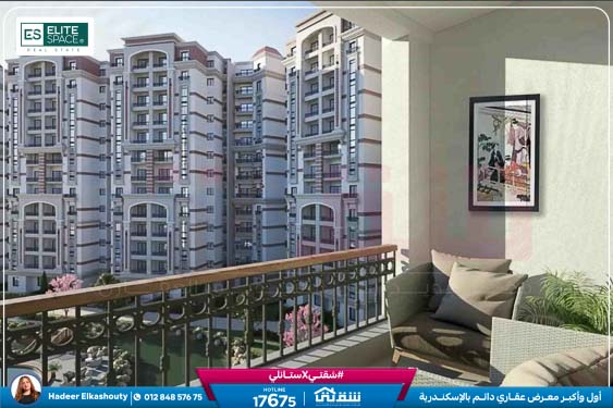 WhatsApp Image 2026-01-15 at 3.20.43 AM (1)