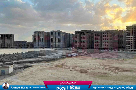 WhatsApp Image 2026-01-17 at 2.13.33 PM