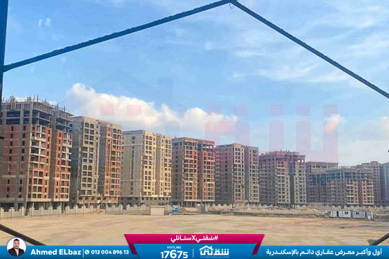 WhatsApp Image 2026-01-17 at 2.13.34 PM (1)