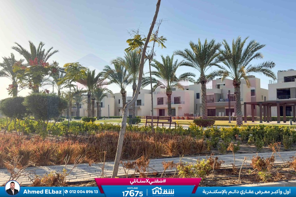 WhatsApp Image 2026-01-17 at 2.15.22 PM