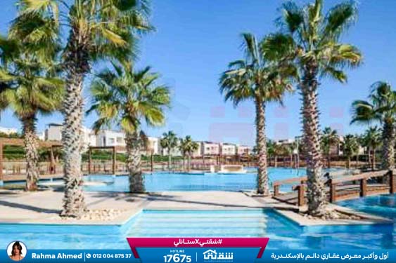 WhatsApp Image 2026-01-18 at 10.38.15 AM (1)