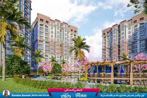 WhatsApp Image 2026-01-18 at 11.59.12 AM